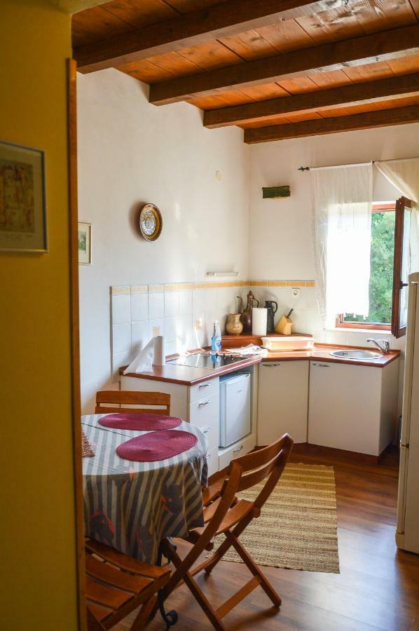 Apartment Zoja Pinezići Extérieur photo